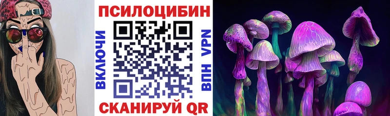 Галлюциногенные грибы GOLDEN TEACHER  darknet наркотические препараты  hydra как зайти  Ковдор  даркнет сайт 