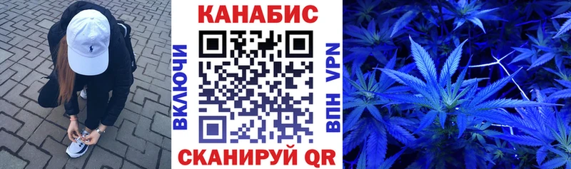 Каннабис планчик  Ковдор 